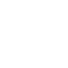 IT & Network Audits